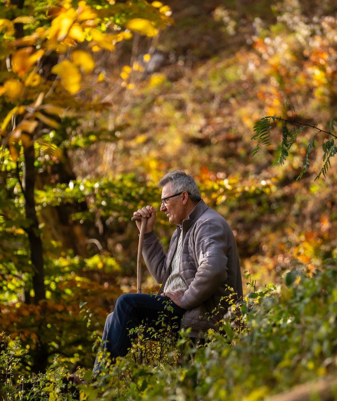 Radovan in the autumn forest above Lisine